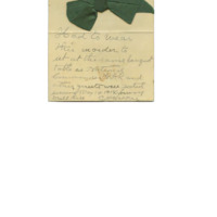 Green bow worn by Cyrus Walker to a formal banquet