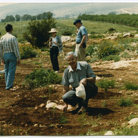 Governor Atiyeh with a pine sapling at the Oregon Friendship Forest in Israel